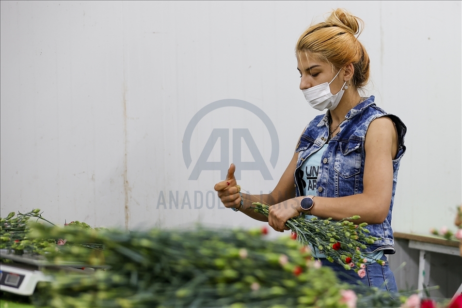 Çiçek sektörü ihracatında "Anneler Günü" bereketi yaşanıyor