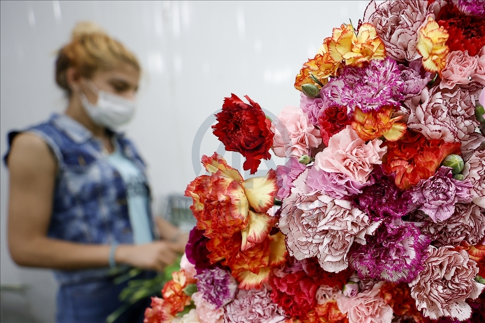 Flowers prepared for upcoming Mother's Day in Antalya