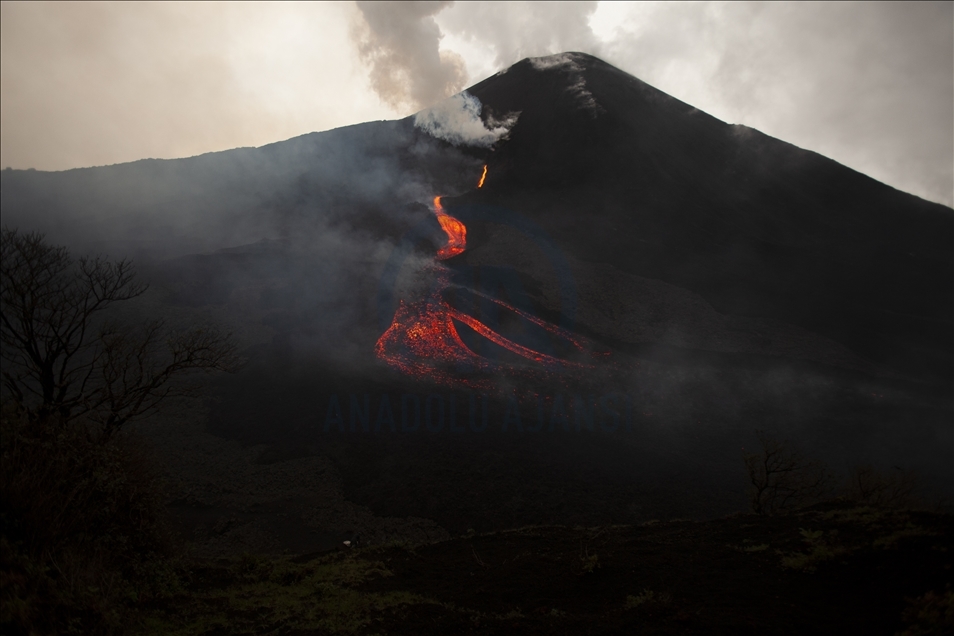 Pacaya volcano's reactivation presents new rivers of lava sprouts in Guatemala