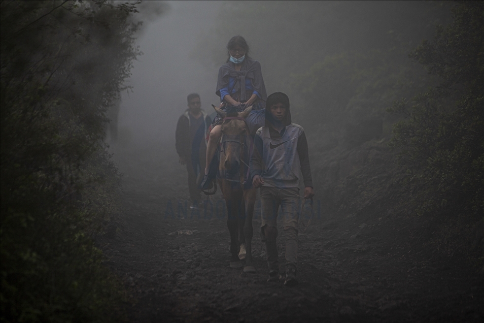 Pacaya volcano's reactivation presents new rivers of lava sprouts in Guatemala