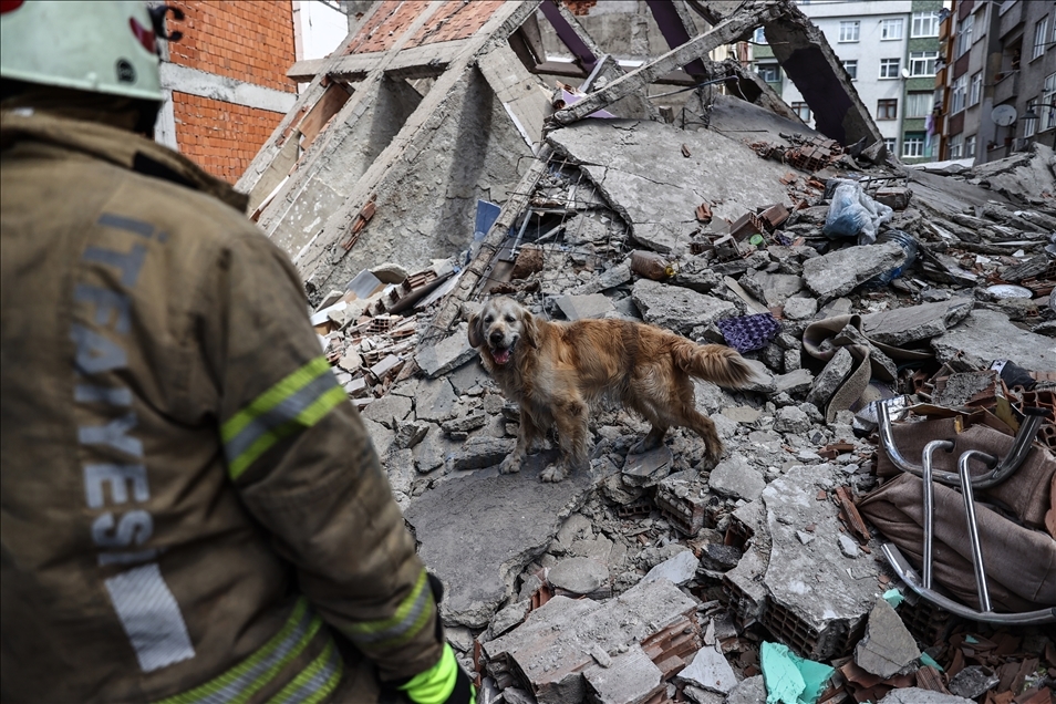 Zeytinburnu'nda 5 katlı boş bina çöktü