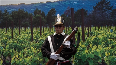 Anniversary of "Battle of Puebla" in Mexico