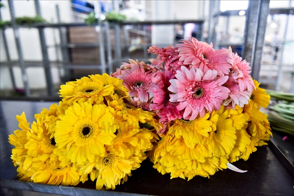 Turquie : les marchés de fleurs prêts pour la Fête des Mères