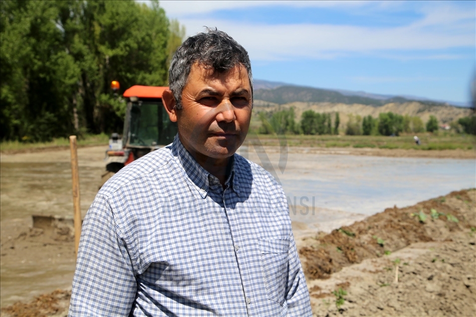 Kastamonu'da çeltik üreticileri ramazan ayında da zorlu mesailerini sürdürüyor