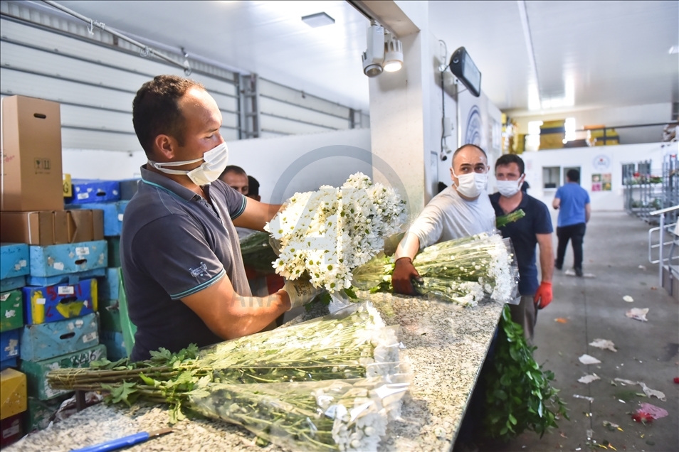 Turquie : les marchés de fleurs prêts pour la Fête des Mères