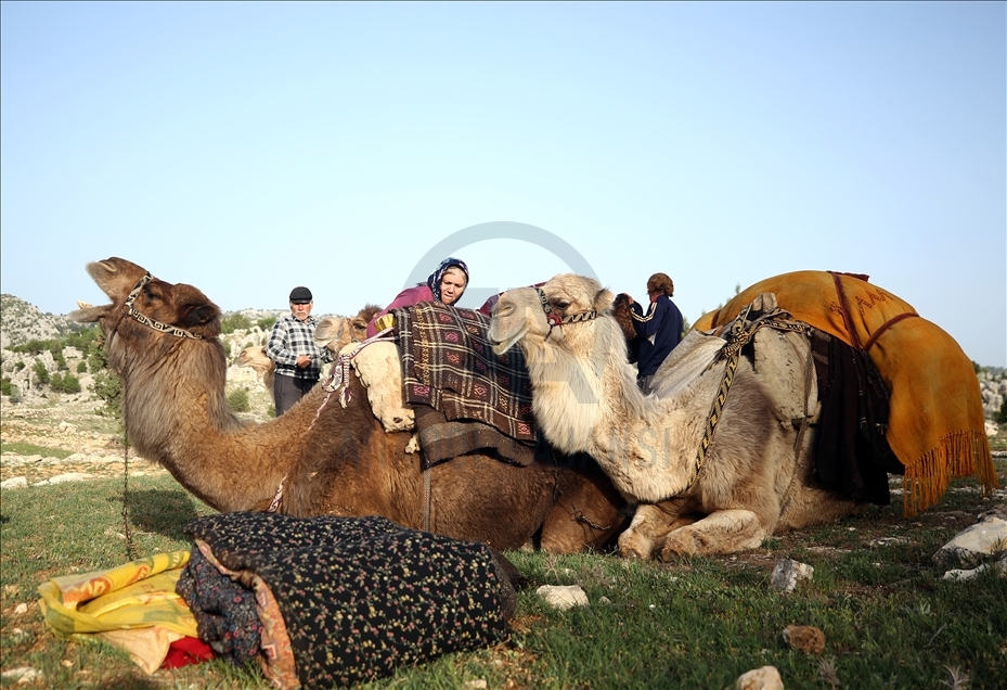 Nomadic Turks preserve lifestyle despite advancing technology