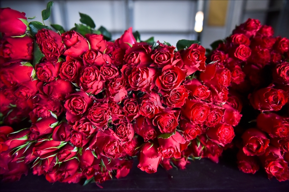 Turquie : les marchés de fleurs prêts pour la Fête des Mères