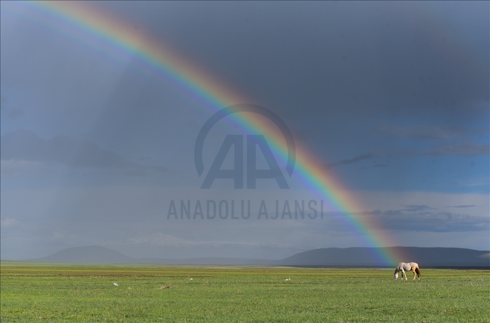 Rainbow appears after rainfall in Kars​​​​​​​