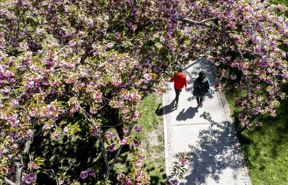Ankara'da bahar