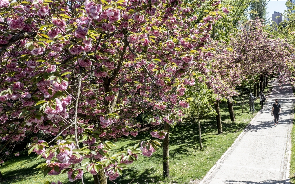 Spring in Ankara