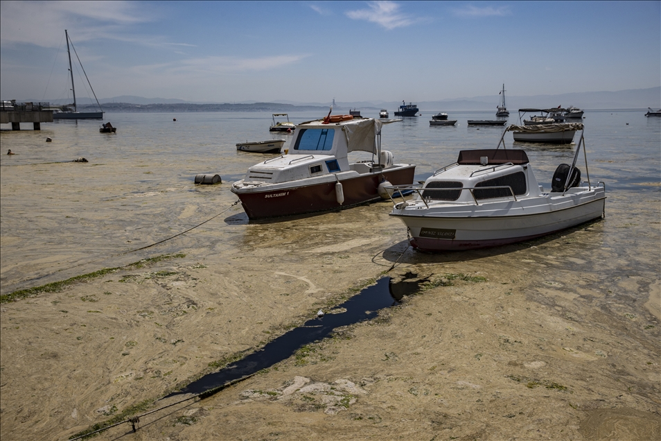 Marmara Denizi'nin dibi de salya ile kaplanmaya başlandı