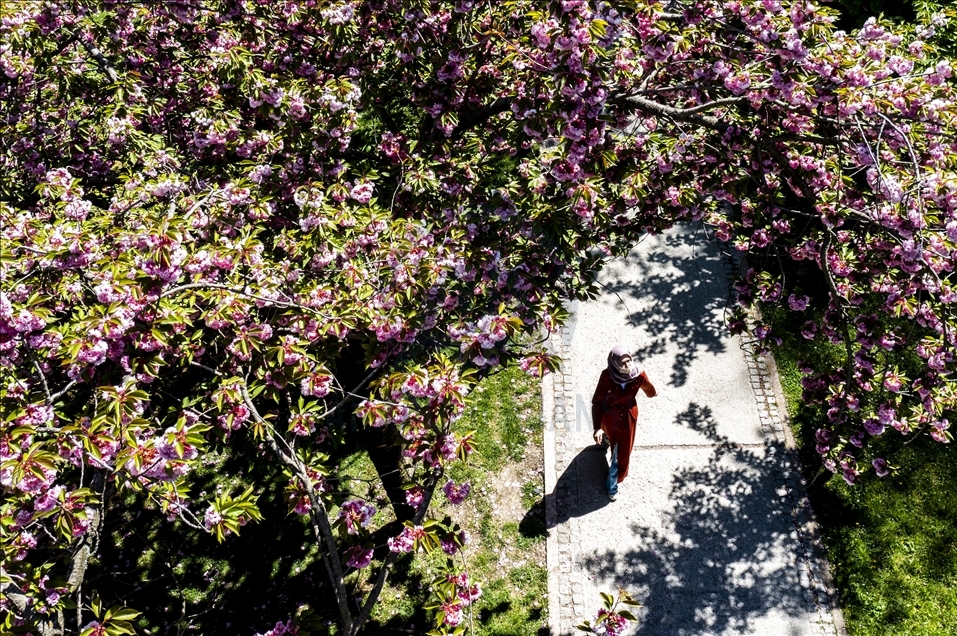 Spring in Ankara
