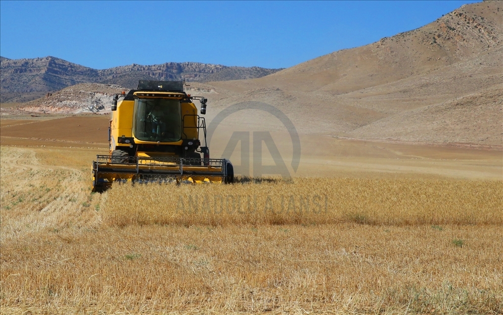 Mardin'in bereketli topraklarında tarımsal faaliyet bayramda da hız kesmedi