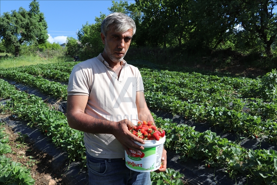Li Batmanê tescîlkirina "tûfirengiya Sasonê" rûyê hilberîneran geş kir