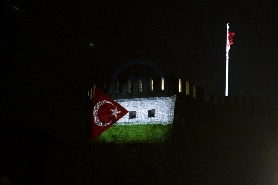 Символ Анкары окрасился в цвета флага Палестины