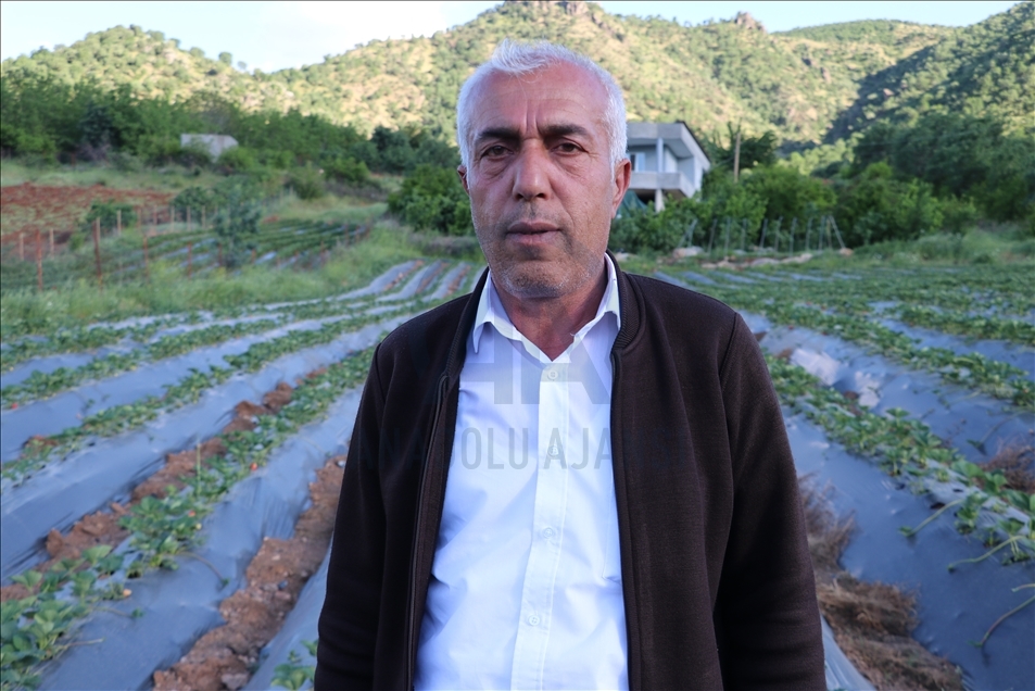 Li Batmanê tescîlkirina "tûfirengiya Sasonê" rûyê hilberîneran geş kir
