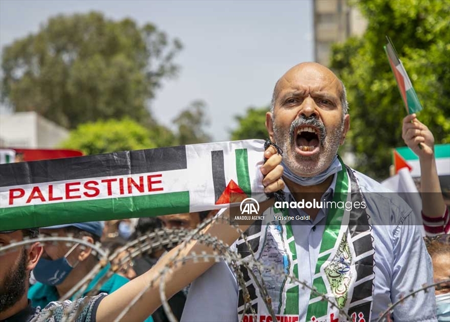 تونس..مظاهرات رفضا للتطبيع ودعما لفلسطين