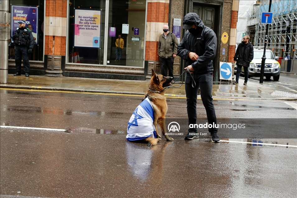 Londra polisi, İsrail destekçilerinin Filistin destekçilerine saldırmasını önledi