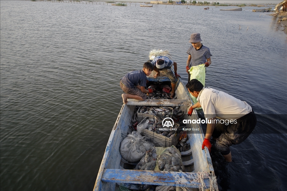 Çölün ortasındaki mucize: Necef Denizi