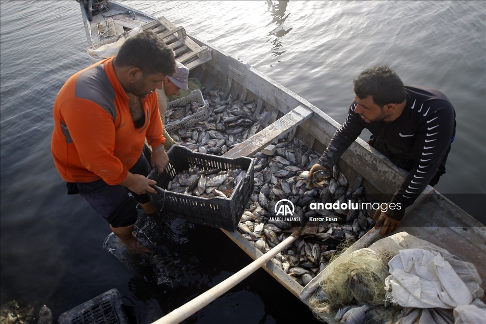 Çölün ortasındaki mucize: Necef Denizi