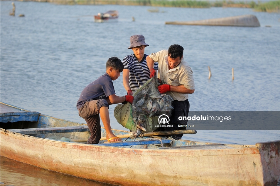 Çölün ortasındaki mucize: Necef Denizi