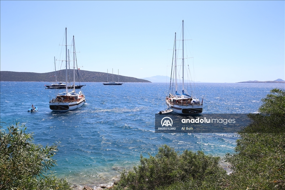 Bodrum'a "mavi tur" için gelen turistler denize "güvenli" açılacak