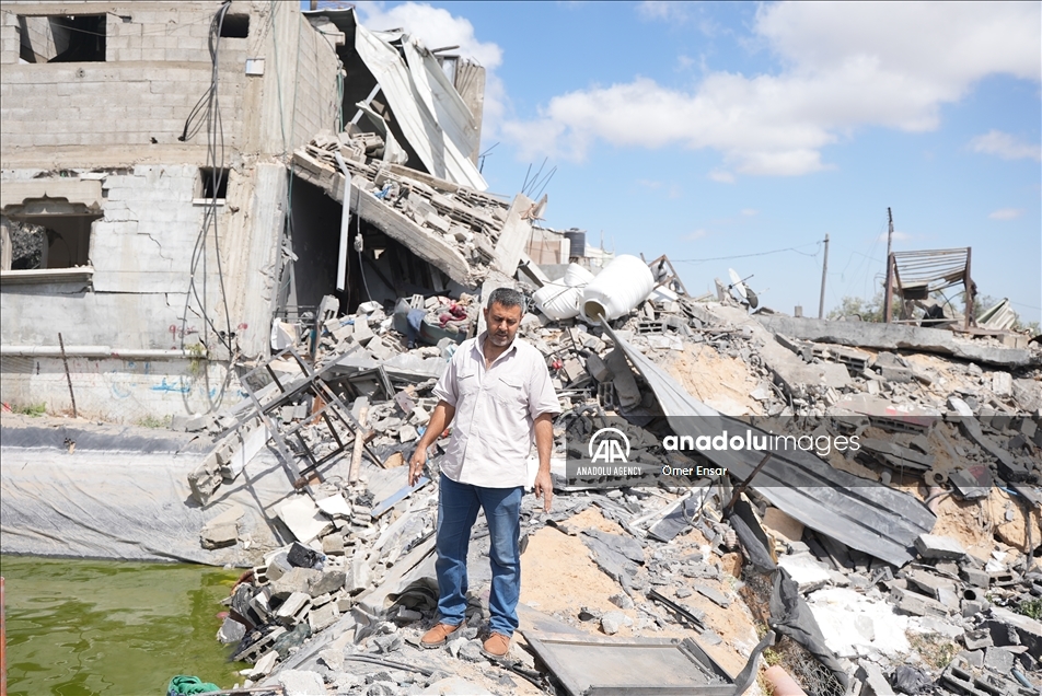 حتى الأسماك لم تسلم من عدوان إسرائيل على غزة