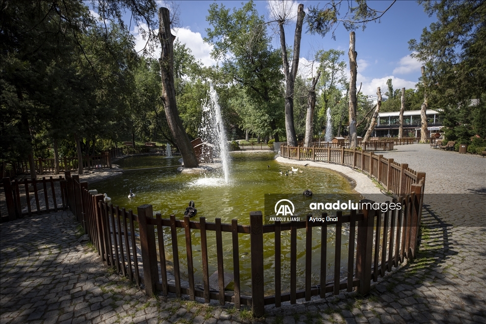 Kuğulu Park ev sahiplerine kaldı