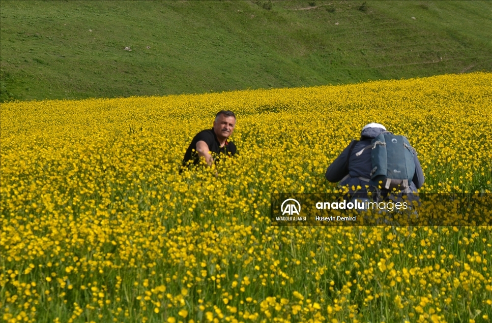 Keklik Vadisi rengarenk açan çiçekleriyle doğa ve fotoğraf tutkunlarını ağırlıyor
