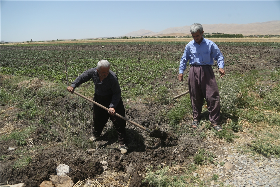 بەهۆی کەمی ئاستی ئاو لە هەرێمی کوردستان رێگری لە مەرەزەکردن دەکرێت