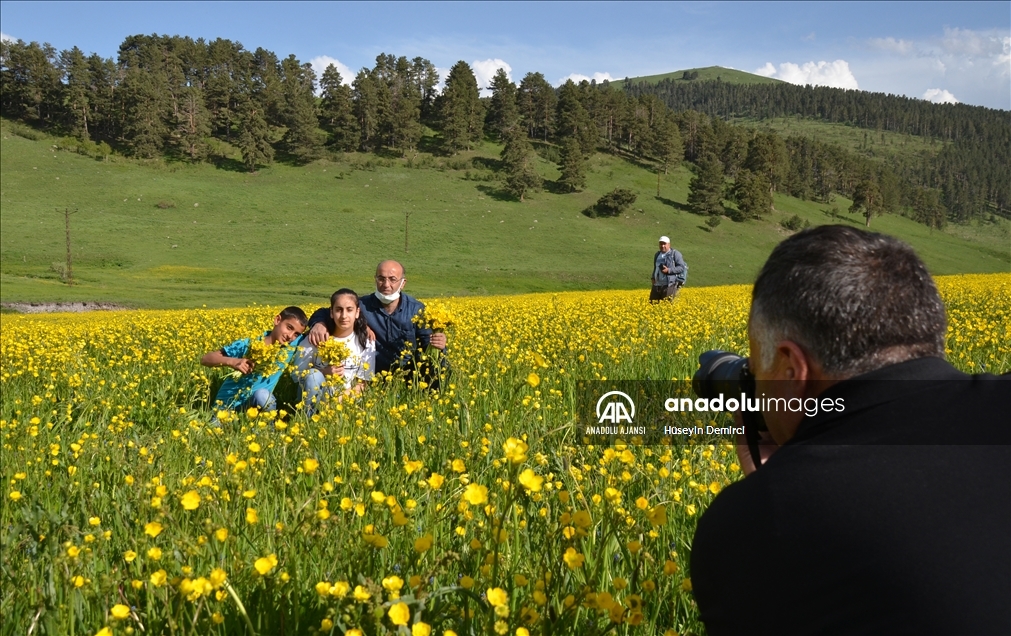 Keklik Vadisi rengarenk açan çiçekleriyle doğa ve fotoğraf tutkunlarını ağırlıyor