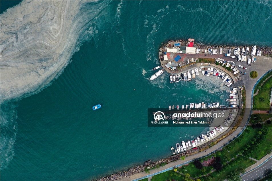 Deniz salyası Anadolu Yakası'nda bazı bölgelerde görülmeye devam ediyor