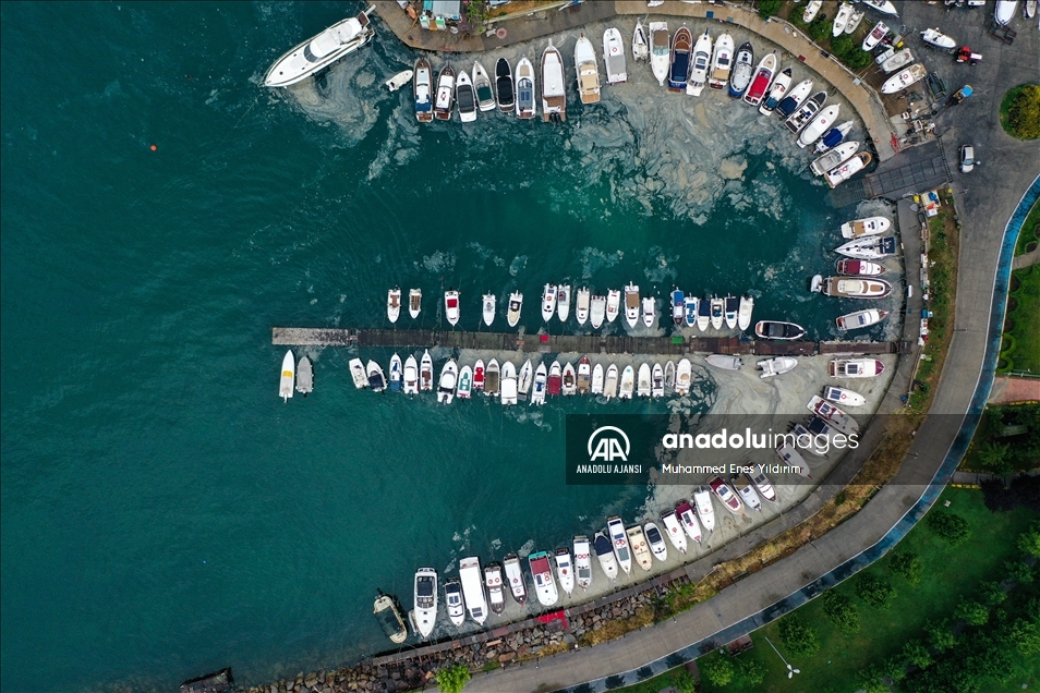 Deniz salyası Anadolu Yakası'nda bazı bölgelerde görülmeye devam ediyor