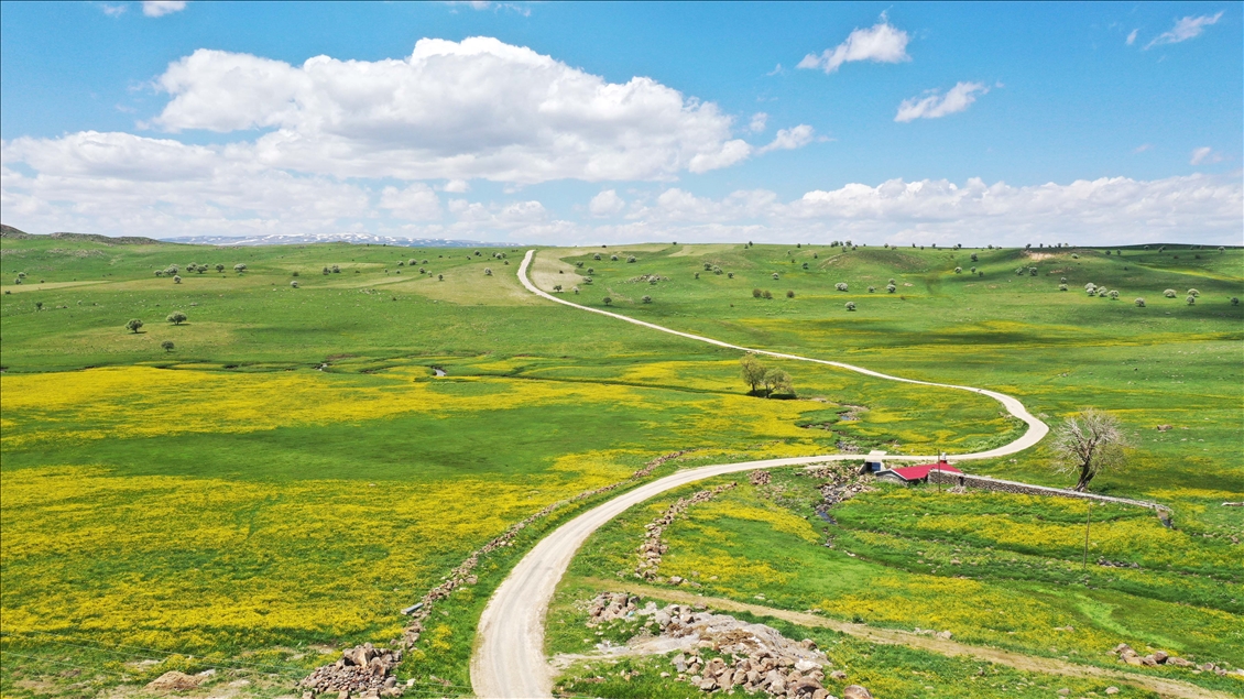 Muş'ta ilkbahar