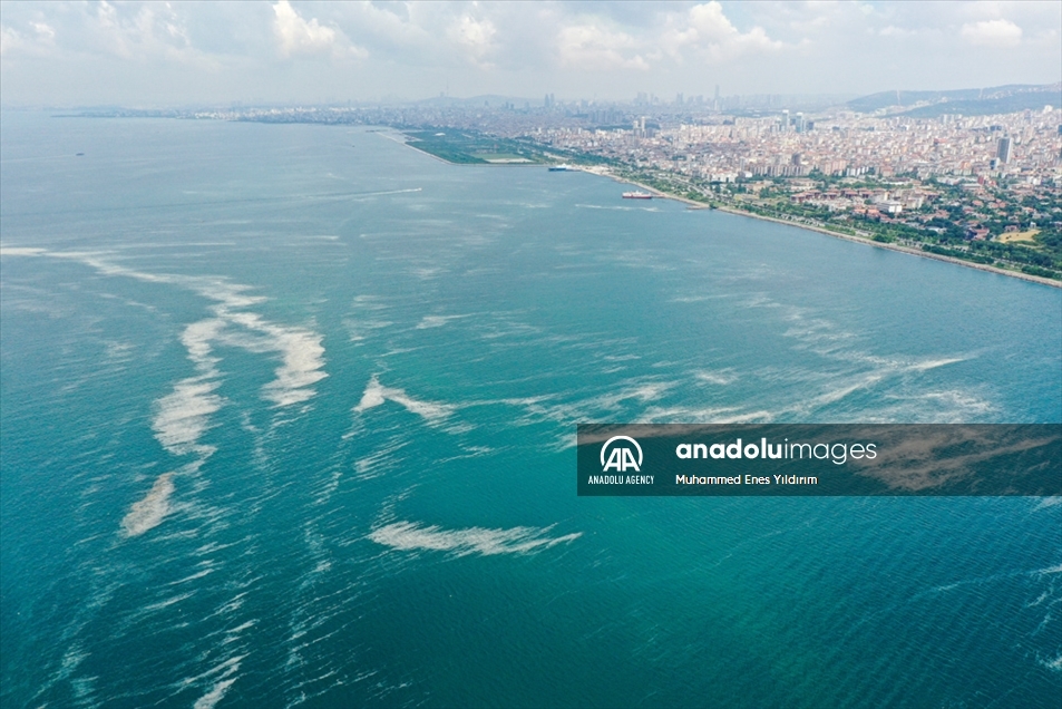 Turquía busca una solución al mucílago marino