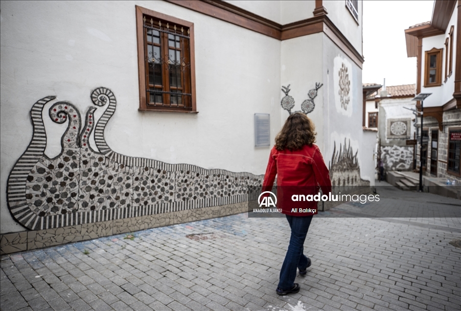 Sanatçı Menekşe Bilgiç'in eserleri, Fener Sokak duvarlarını süsleyecek