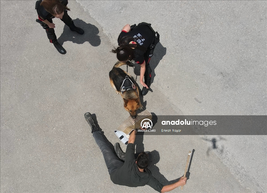 Eskişehir emniyetinin özel köpeklerini anne şefkatiyle eğitiyorlar
