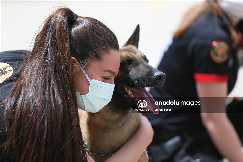 Eskişehir emniyetinin özel köpeklerini anne şefkatiyle eğitiyorlar