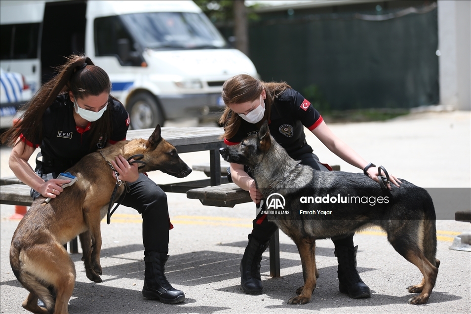 Eskişehir emniyetinin özel köpeklerini anne şefkatiyle eğitiyorlar