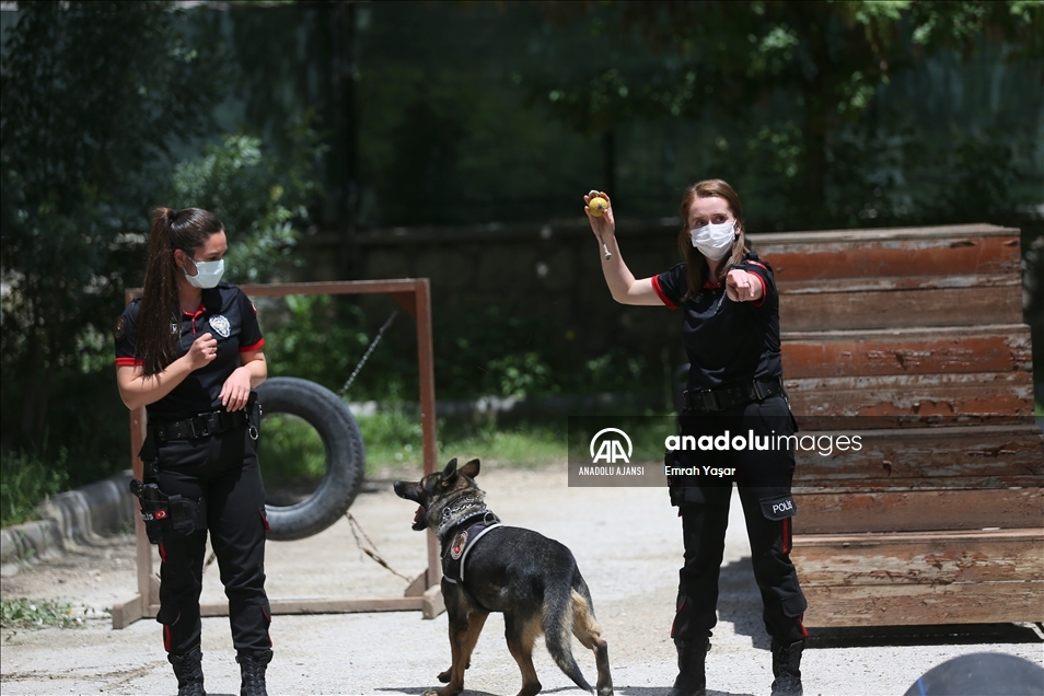 Eskişehir emniyetinin özel köpeklerini anne şefkatiyle eğitiyorlar