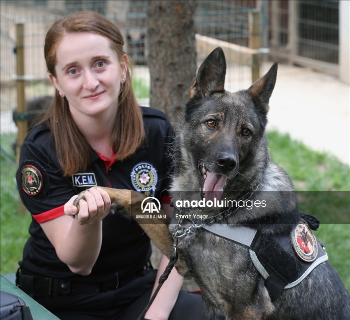 Eskişehir emniyetinin özel köpeklerini anne şefkatiyle eğitiyorlar