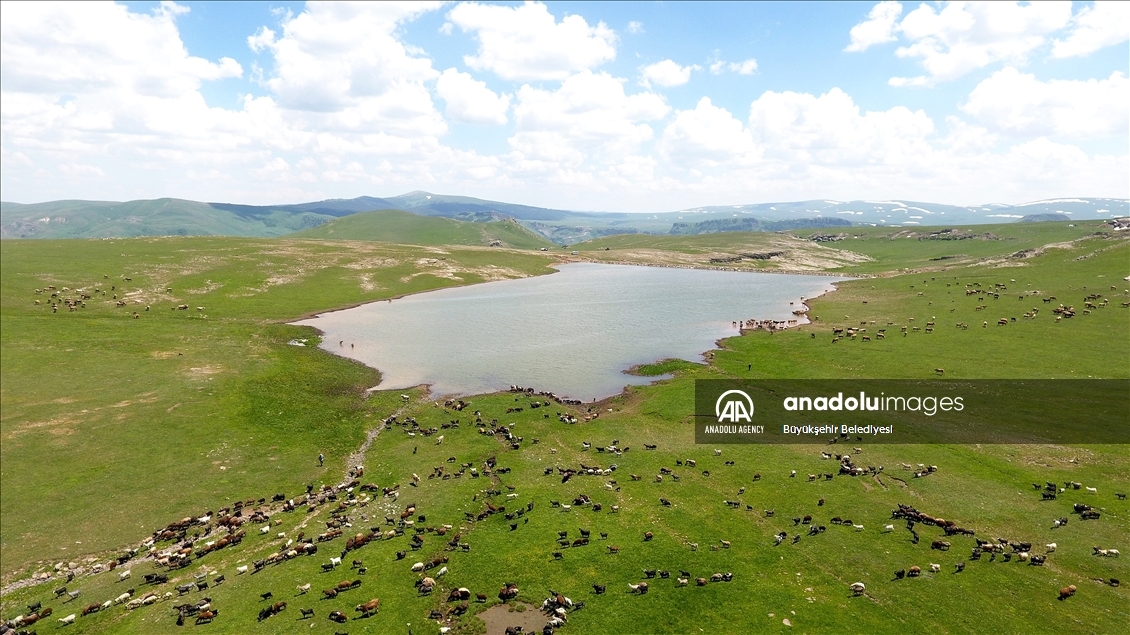 Li Erziromê 400 golên ku hatin çêkirin pir kêrî çandinî û heywandariyê tên