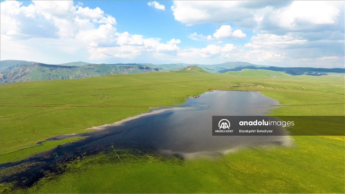 Li Erziromê 400 golên ku hatin çêkirin pir kêrî çandinî û heywandariyê tên