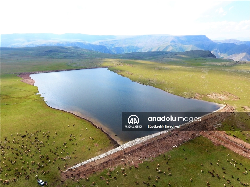 Li Erziromê 400 golên ku hatin çêkirin pir kêrî çandinî û heywandariyê tên