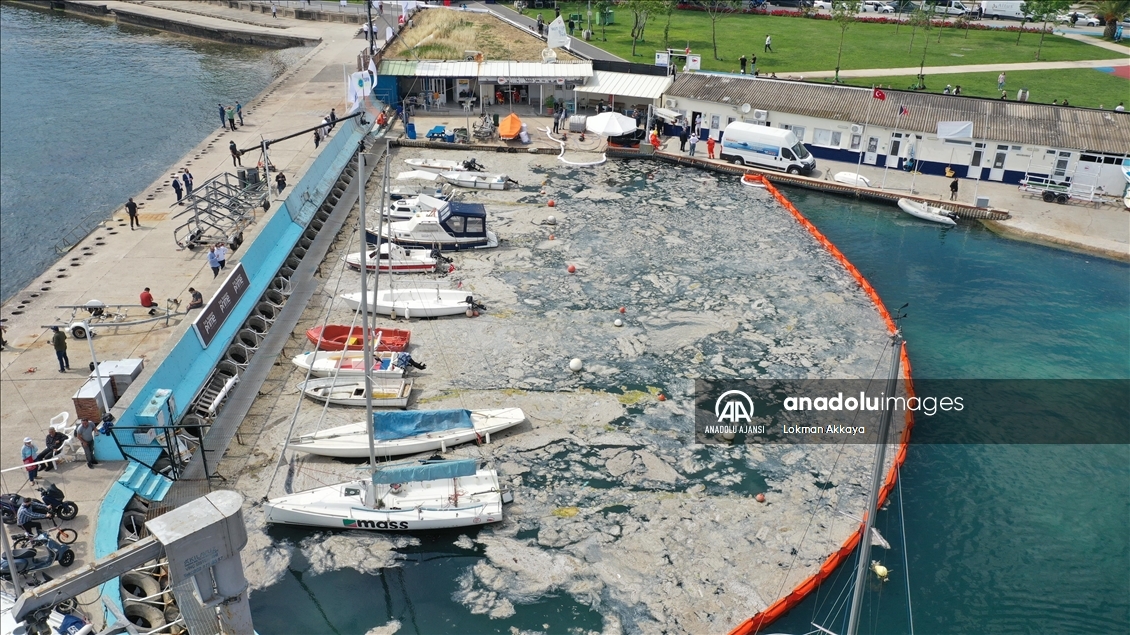 İstanbul'da müsilaj temizleme çalışması başlatıldı