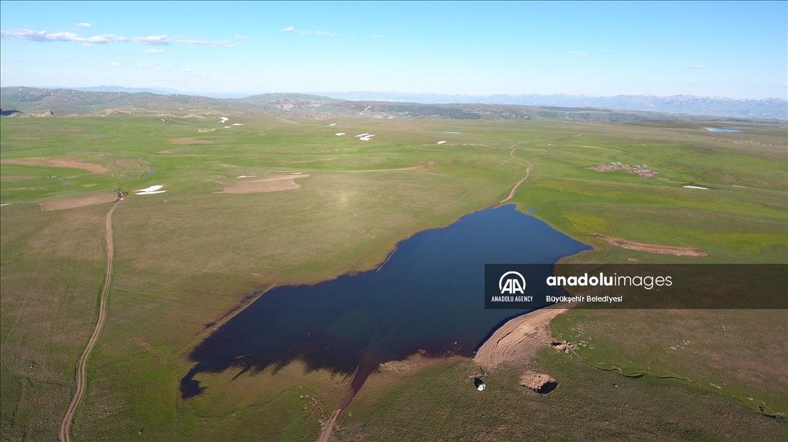 Li Erziromê 400 golên ku hatin çêkirin pir kêrî çandinî û heywandariyê tên