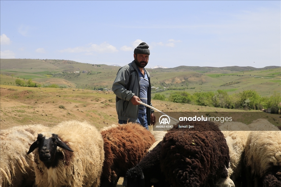Mehkûmê berê bi piştgiriya dewletê rêncberiyê dike