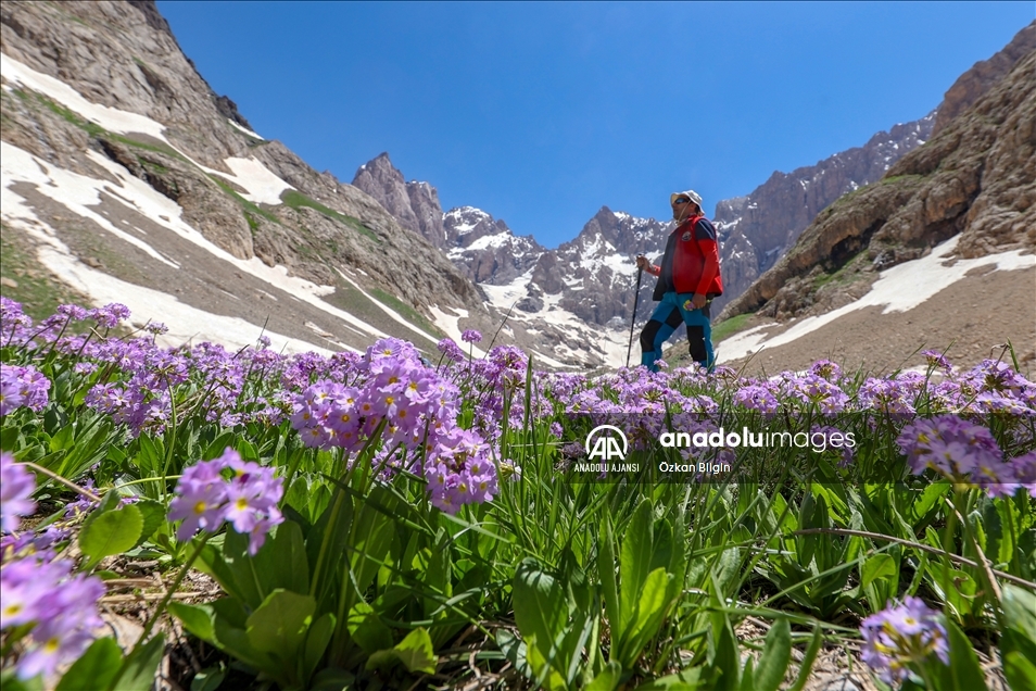 Hakkari'deki Cilo Dağları, doğa ve fotoğraf tutkunlarının yeni rotası oldu