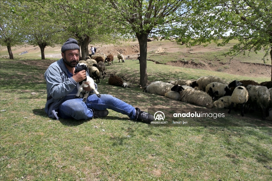 Mehkûmê berê bi piştgiriya dewletê rêncberiyê dike