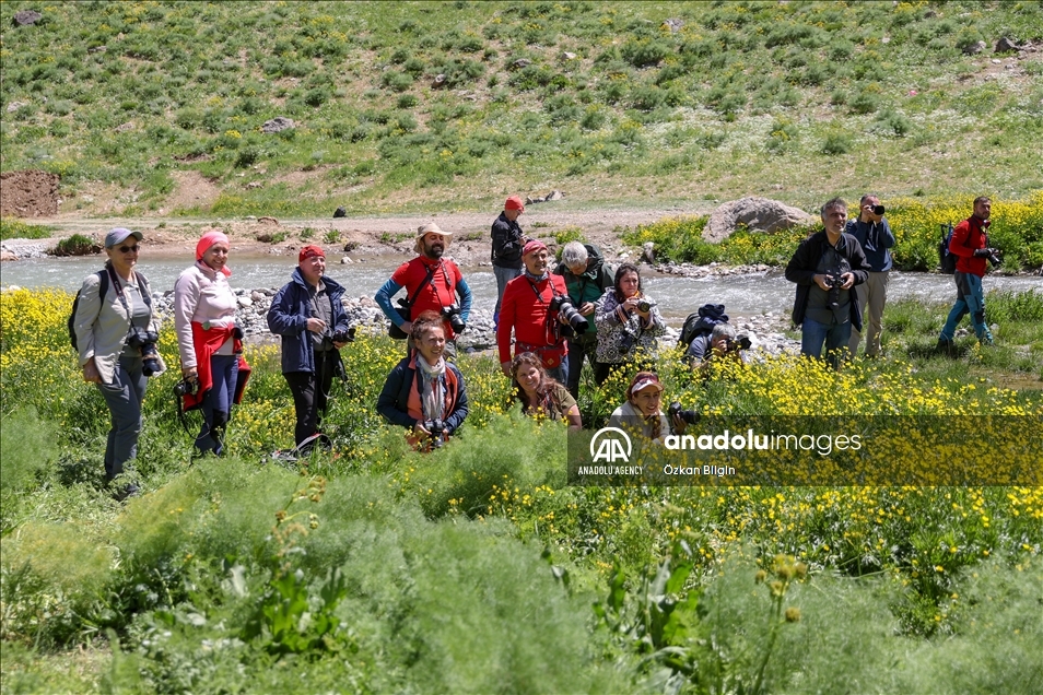 علاقه خاص عکاسان و دوستداران طبیعت به کوه‌های جیلو در حکاری ترکیه 